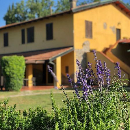 Agriturismo Santa Lorica Sassetta Exterior photo
