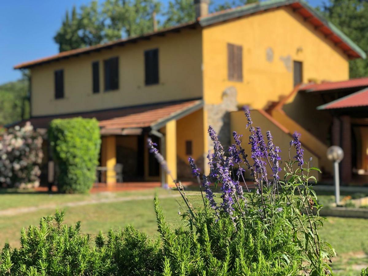Agriturismo Santa Lorica Sassetta Exterior photo