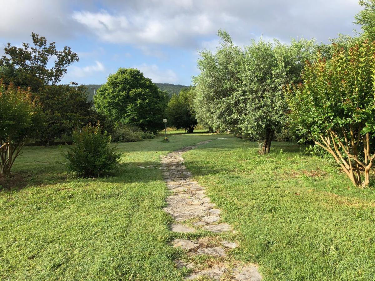 Agriturismo Santa Lorica Sassetta Exterior photo